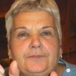 Meet your Posher, Kitty